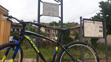MTB uomo 29