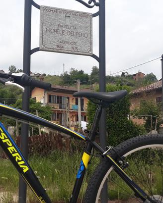 MTB uomo 29