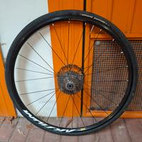 Ruote Mavic Aksium Disc
