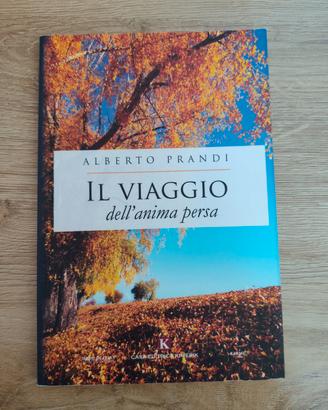 il viaggio dell' anima persa 