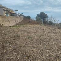 Terreno zona citronia 1300 metri quadri