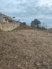 Terreno zona citronia 1300 metri quadri