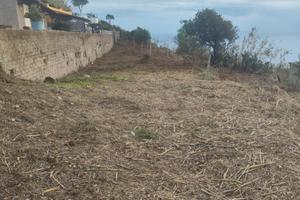 Terreno zona citronia 1300 metri quadri