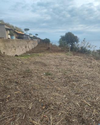 Terreno zona citronia 1300 metri quadri