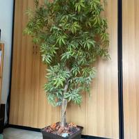 Pianta artificiale Acero