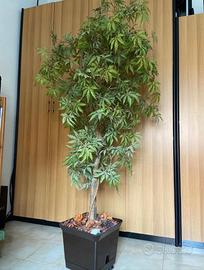 Pianta artificiale Acero