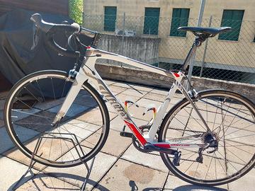 wilier gtr team