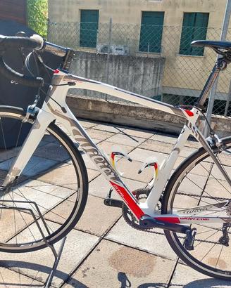 wilier gtr team