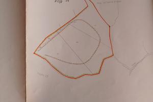 Due terreni agricoli a Padru(SS)