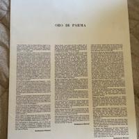 Prova d autore