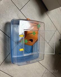 Vasca per tartarughe