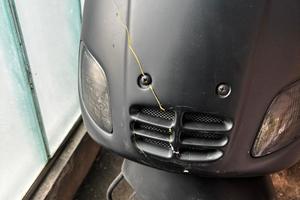 cercp scudo zip piaggio