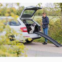 Scivolo rampa per cani