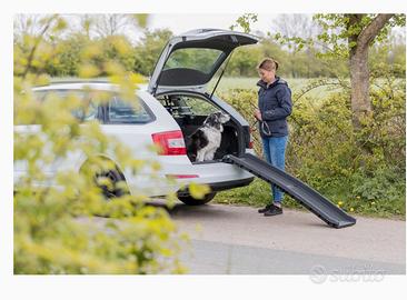 Scivolo rampa per cani