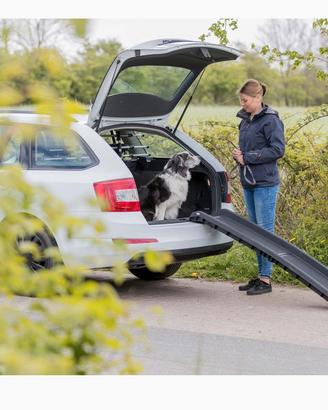 Scivolo rampa per cani