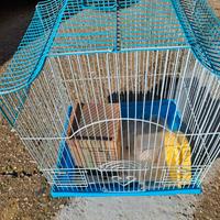 Gabbia per uccellini