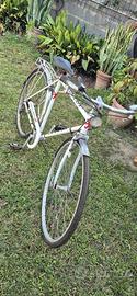 Bicicletta uomo