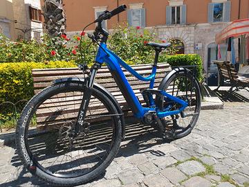Bicicletta elettrica E-bike Bosch 