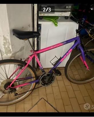 Bicicletta