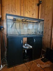 Acquario 240 litri