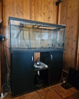 Acquario 240 litri