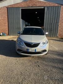 Lancia Ypsilon 1.2 69 CV 5 porte Platinum