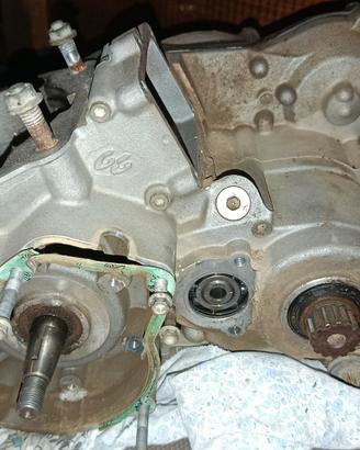 motore gasgas ec 300