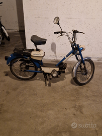 Motorino motobi gentleman