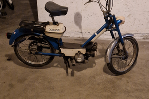 Motorino motobi gentleman