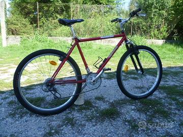 Bicicletta  M.T.B  "REGINA VENETA"