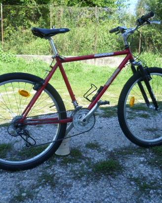 Bicicletta  M.T.B  "REGINA VENETA"