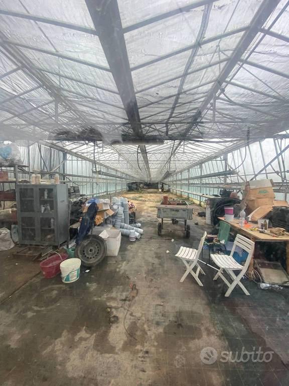 Terreno di 3910 m² a Albenga - Vista 4