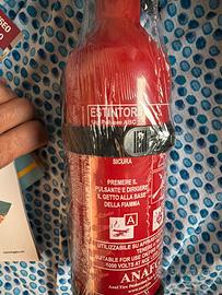Estintore 1 kg polvere ABC