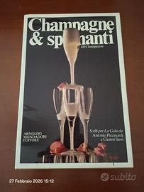 Libro " Champagne e spumanti" copertina rigida