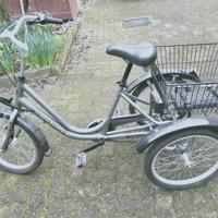Triciclo a pedalata assistita