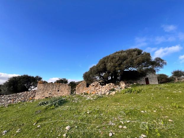 Arbus - Terreno con rudere