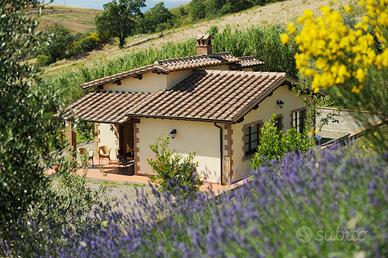Capodanno; villette nella campagna maremmana