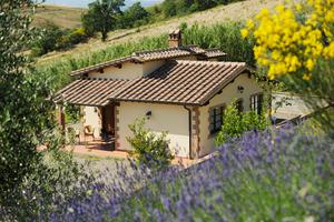 Capodanno; villette nella campagna maremmana