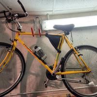 bici MTB Legnano Cayman