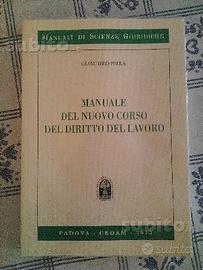 Manuale del nuovo corso diritto del lavoro 2013