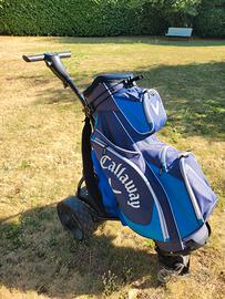 carrello golf elettrico