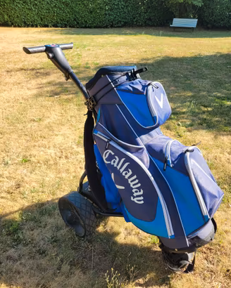 carrello golf elettrico