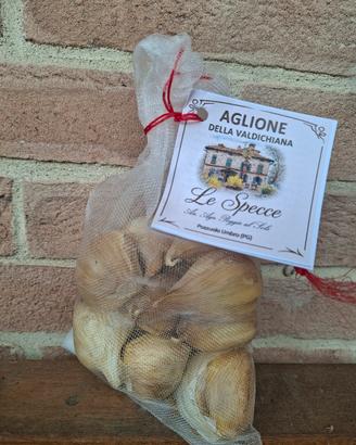 Specce di Aglione della Valdichiana