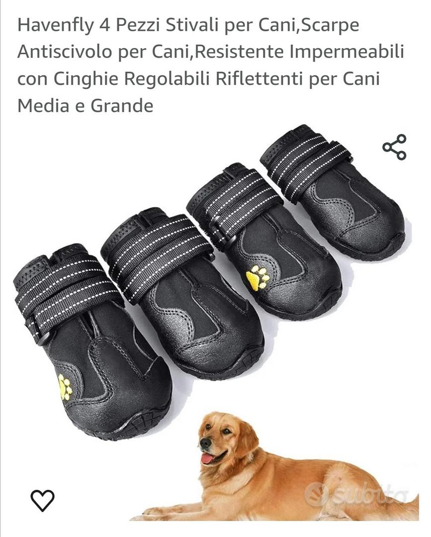 Scarpette antiscivolo per cani shop