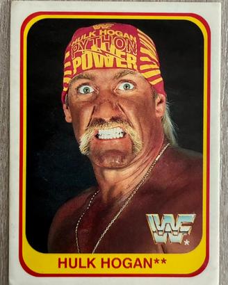 Merlin Trading Cards Wrestling WWF 1991 Italia