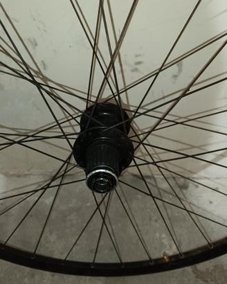 ruote MTB 
