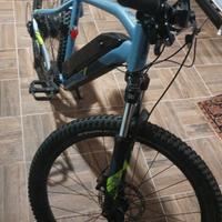 mountanbike elettrica