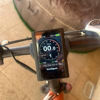 Bicicletta elettrica