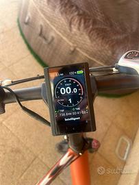 Bicicletta elettrica