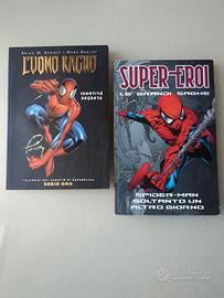 L'uomo ragno - Spiderman 